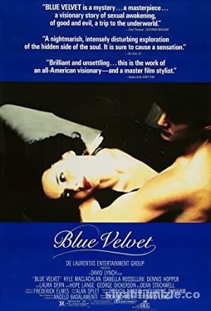 Mavi Kadife 1986 izle