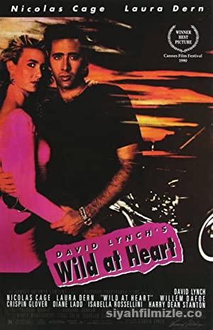 Vahşi Duygular 1990 izle