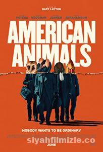 Amerikan Soygunu 2018 Filmi Türkçe Dublaj Altyazılı izle Amerikan Soygunu 2018 izle