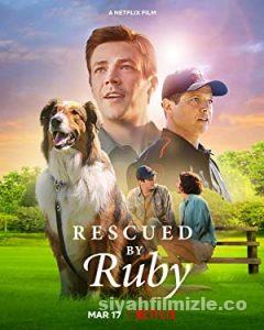 Kurtarma Köpeği Ruby 2022 Filmi Türkçe Dublaj Full izle Kurtarma Köpeği Ruby 2022 izle