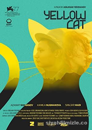 Sarı Kedi 2021 izle
