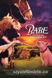 Babe 1995 Filmi Türkçe Dublaj Altyazılı Full izle Babe 1995 izle
