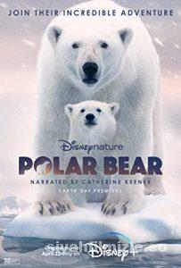 Polar Bear 2022 Türkçe Altyazılı Filmi Full 4k izle Polar Bear 2022 izle