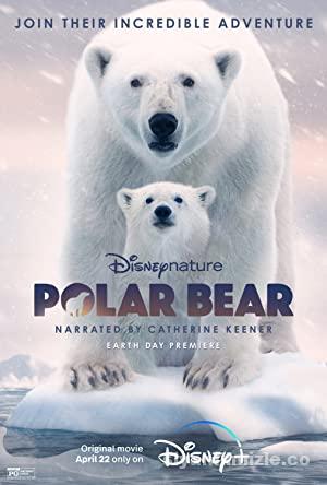 Polar Bear 2022 izle