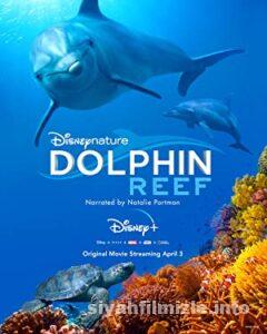 Dolphin Reef 2018 Filmi Türkçe Dublaj Altyazılı Full izle Dolphin Reef 2018 izle