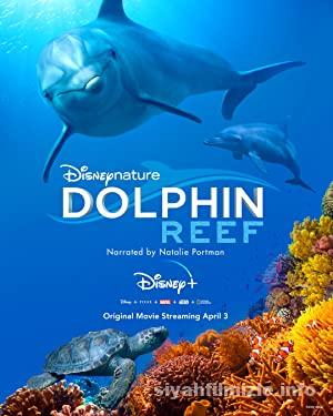 Dolphin Reef 2018 Filmi Türkçe Dublaj Altyazılı Full izle Dolphin Reef 2018 izle