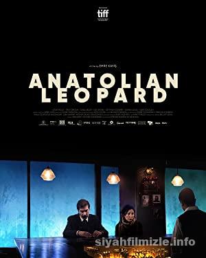 Anadolu Leoparı 2021 Yerli Filmi Full Sansürsüz izle Anadolu Leoparı 2021 izle