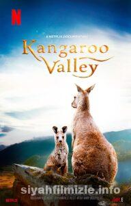 Kanguru Vadisi 2022 Filmi Türkçe Dublaj Altyazılı Full izle Kanguru Vadisi 2022 izle