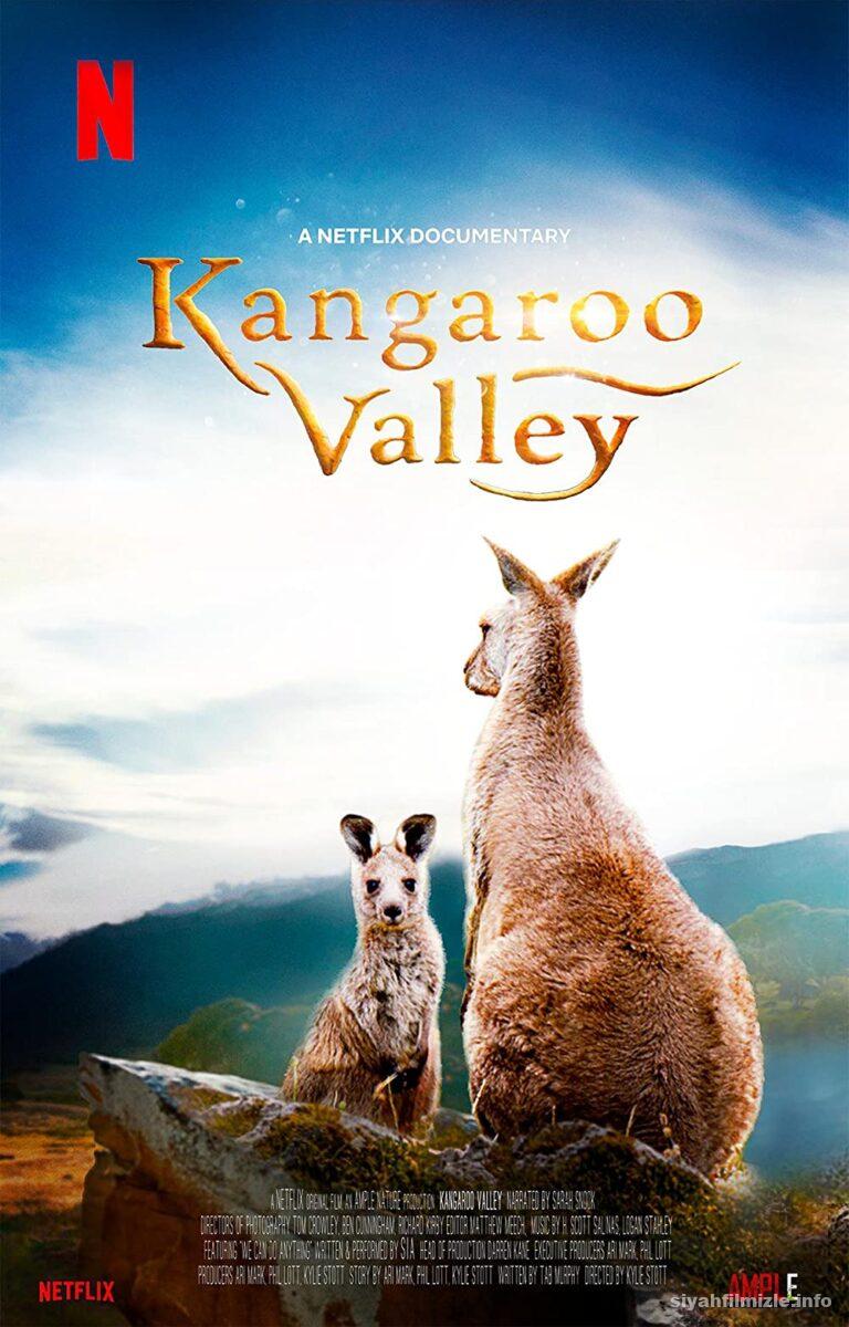 Kanguru Vadisi 2022 izle