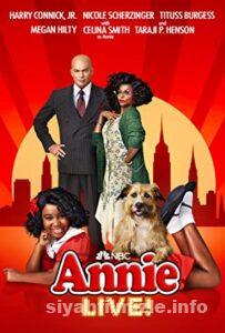 Annie Müzikali 2021 Filmi Türkçe Dublaj Altyazılı Full izle Annie Müzikali 2021 izle