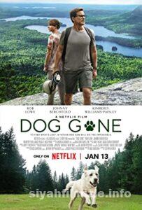 Kayıp Köpek 2023 Filmi Türkçe Dublaj Altyazılı Full izle Kayıp Köpek 2023 izle