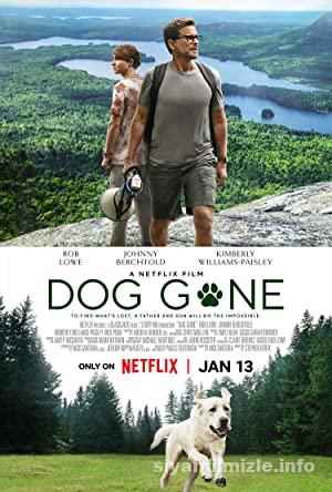 Kayıp Köpek 2023 Filmi Türkçe Dublaj Altyazılı Full izle Kayıp Köpek 2023 izle