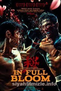 Dövüşçü 2019 Filmi Türkçe Dublaj Altyazılı Full izle Dövüşçü 2019 izle