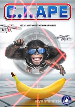 Gizli Ajan Şempanze 2021 Türkçe Dublaj Altyazılı Full izle Gizli Ajan Şempanze 2021 izle