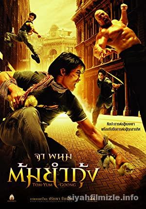 Koruyucu (The Protector) 2005 Filmi Türkçe Dublaj Full izle Koruyucu (The Protector) 2005 izle