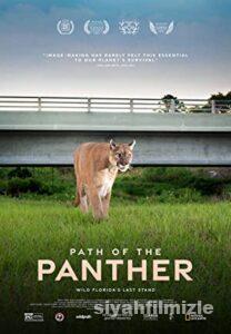 Path of the Panther 2022 Filmi Türkçe Altyazılı Full izle Path of the Panther 2022 izle