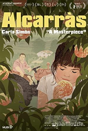 Alcarràs 2022 izle