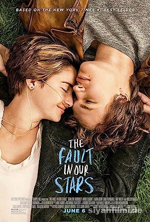 Aynı Yıldızın Altında 2014 izle