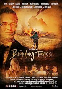 Buğday Tanesi 2022 Yerli Filmi Full Sansürsüz izle Buğday Tanesi 2022 izle