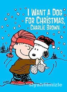 I Want a Dog for Christmas, Charlie Brown 2003 Filmi izle I Want a Dog for Christmas, Charlie Brown 2003 izle