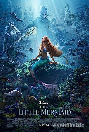 Küçük Deniz Kızı 2023 izle