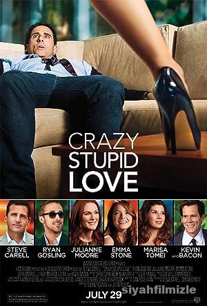 Çılgın Aptal Aşk 2011 izle