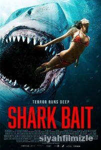 Kan Kokusu 2022 Filmi Türkçe Dublaj Altyazılı Full izle Kan Kokusu 2022 izle