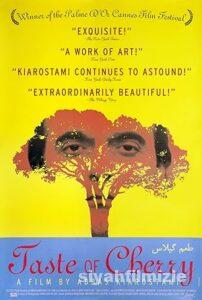 Kirazın Tadı 1997 Filmi Türkçe Dublaj Altyazılı Full izle Kirazın Tadı 1997 izle