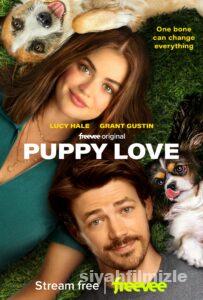 Puppy Love 2023 izle