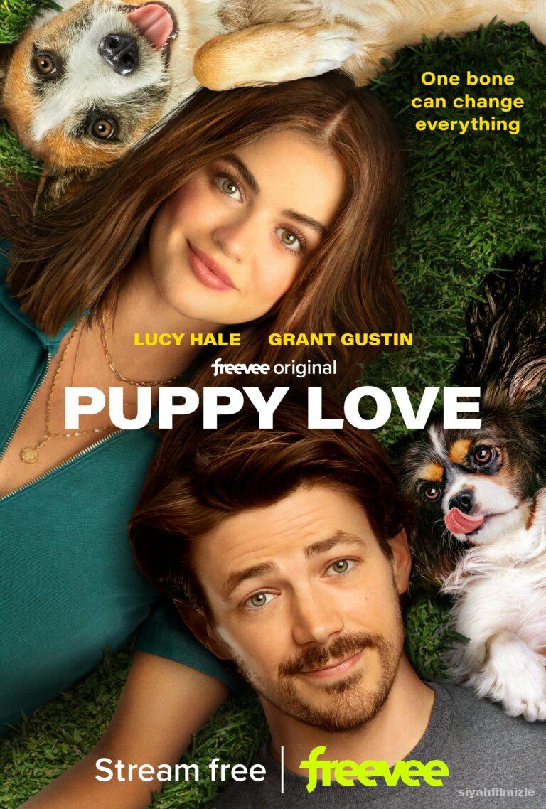 Puppy Love 2023 izle