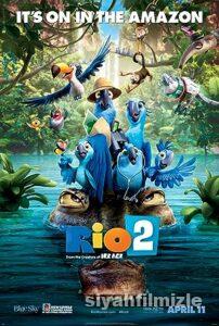 Rio 2 2014 Filmi Türkçe Dublaj Altyazılı Full izle Rio 2 2014 izle