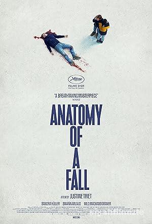 Bir Düşüşün Anatomisi 2023 izle