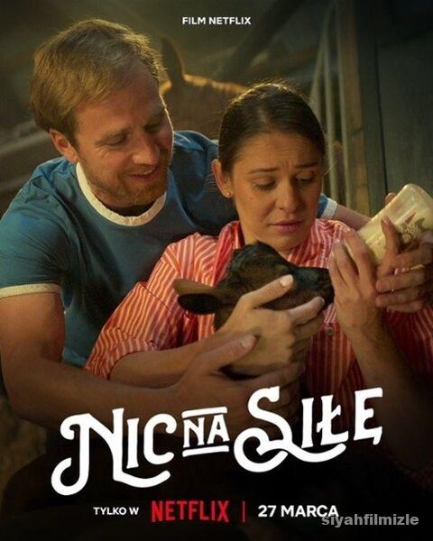 Çiftlik Aşkım 2024 izle
