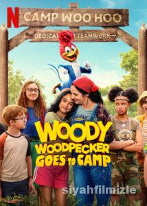 Ağaçkakan Woody Yaz Kampında 2023 Filmi Türkçe Full izle Ağaçkakan Woody Yaz Kampında 2023 izle