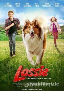 Lassie Eve Dönüş 2020 Filmi Türkçe Dublaj Altyazılı izle Lassie Eve Dönüş 2020 izle