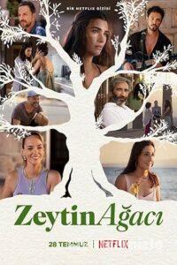 Zeytin Ağacı 1. Sezon izle Yerli Dizi Full Sansürsüz Zeytin Ağacı 1. Sezon izle Dizi Sansürsüz