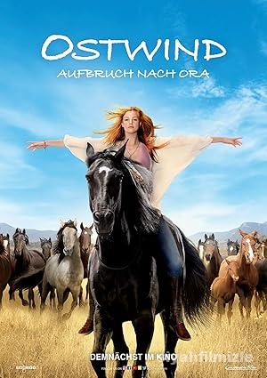Kasırga 3 2017 Filmi Türkçe Dublaj Altyazılı Full izle Kasırga 3 2017 izle