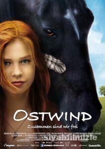 Kasırga 1 2013 Filmi Türkçe Dublaj Altyazılı Full izle Kasırga 1 2013 izle