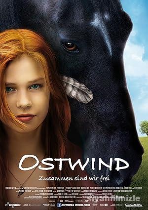 Kasırga 1 2013 Filmi Türkçe Dublaj Altyazılı Full izle Kasırga 1 2013 izle