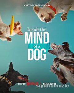 Köpeklerin Aklından Neler Geçiyor? 2024 Filmi Full izle Köpeklerin Aklından Neler Geçiyor? 2024 izle