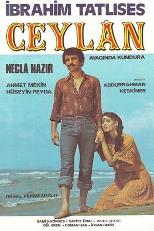 Ceylan 1978 Yerli Filmi Full Sansürsüz izle Ceylan 1978 izle
