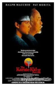 Karateci Çocuk 2 1986 Filmi Türkçe Dublaj Altyazılı izle Karateci Çocuk 2 1986 izle