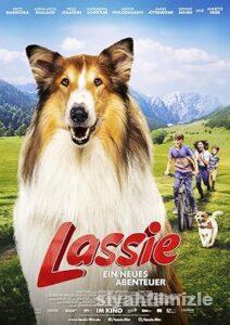 Lassie: Yepyeni Bir Macera 2023 Filmi Türkçe Dublaj izle Lassie: Yepyeni Bir Macera 2023 izle