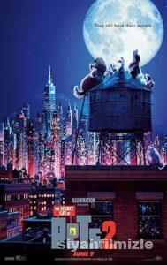Evcil Hayvanların Gizli Yaşamı 2 2016 Filmi Türkçe Full izle Evcil Hayvanların Gizli Yaşamı 2 2016 izle