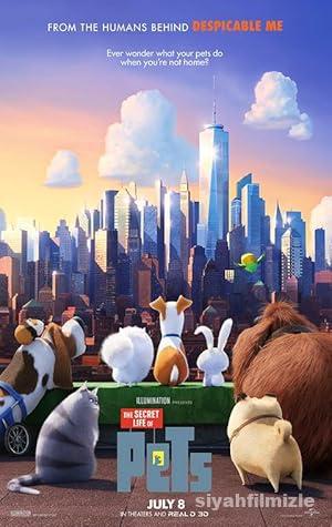 Evcil Hayvanların Gizli Yaşamı 2016 Filmi Türkçe Full izle Evcil Hayvanların Gizli Yaşamı 2016 izle