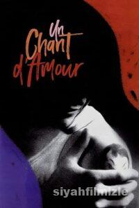 Aşk Bir Şarkı 1950 Filmi Türkçe Dublaj Altyazılı Full izle Aşk Bir Şarkı 1950 izle