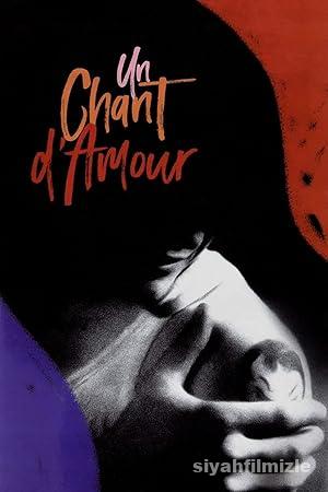 Aşk Bir Şarkı 1950 Filmi Türkçe Dublaj Altyazılı Full izle Aşk Bir Şarkı 1950 izle
