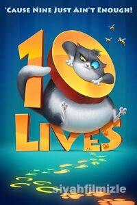 Meraklı Kedinin 10 Yaşamı 2024 Filmi Türkçe Dublaj Full izle Meraklı Kedinin 10 Yaşamı 2024 izle