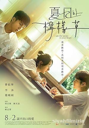 Kalbindeki Sır 2024 izle