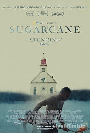 Sugarcane 2024 izle